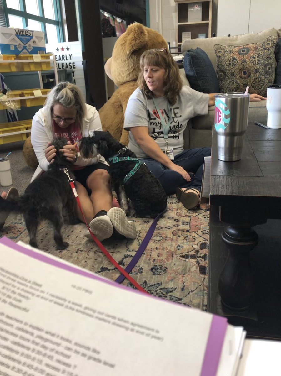 Lily and Trey are hard at work preparing to be MBE K9 Counselors! Thank you to Let’s Go!! Train Dogs for helping us train!! Thank you to <a href="/HumbleISD_FDN/">HumbleISD Foundation</a> for funding our  grant to Wag Away the Worries!!   <a href="/HumbleISD_MBE/">Maplebrook Elem</a> #mbebears2020 <a href="/MBE_TinelliPE/">Darla Tinelli</a> <a href="/mrscruzgrade1/">Lisa Cruz</a>