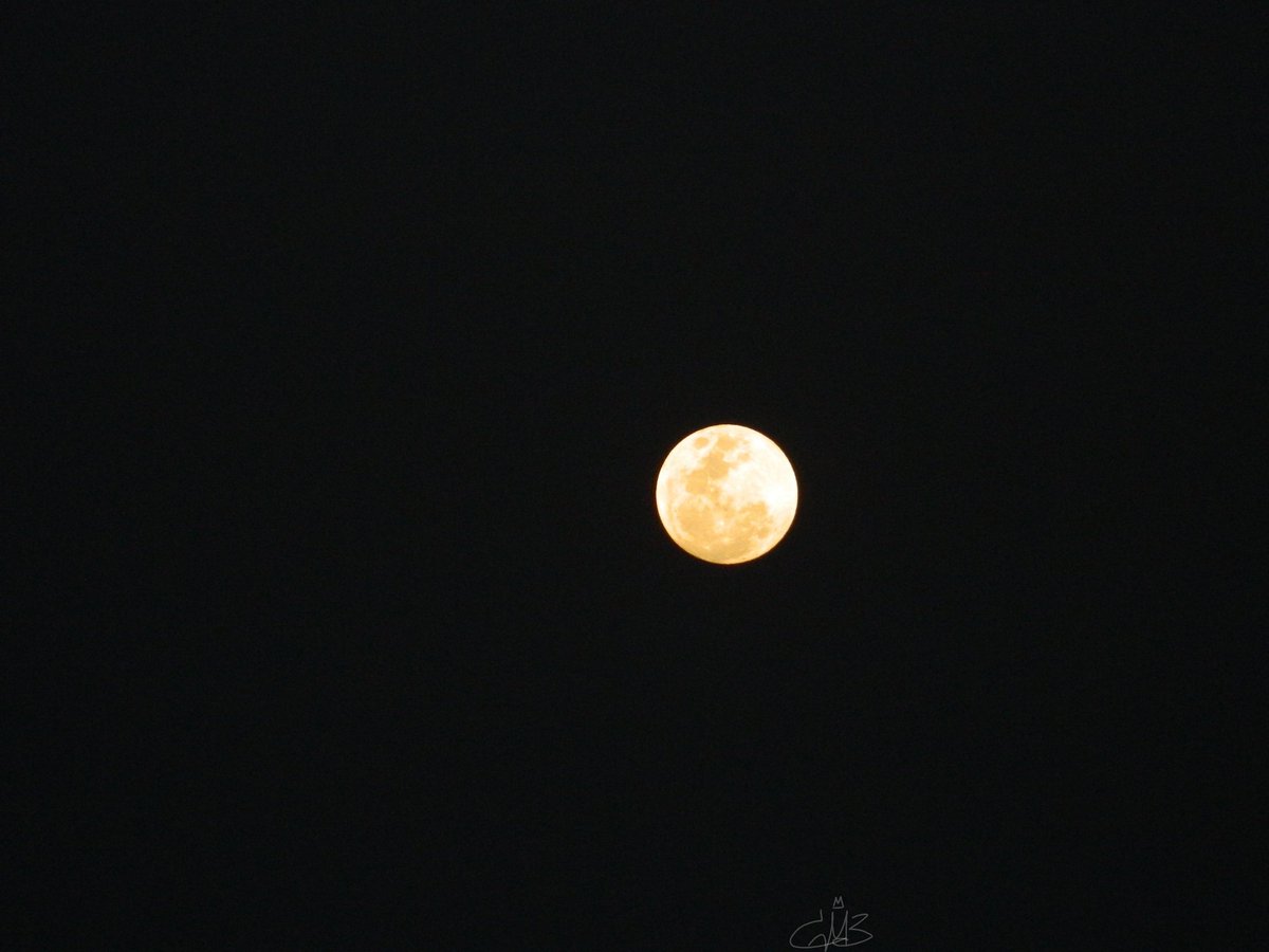 nebulajpg's tweet photo. 𝘪𝘵'𝘴 𝘢 𝘧𝘢𝘤𝘵 𝘵𝘩𝘢𝘵 𝘵𝘩𝘦 𝘮𝘰𝘰𝘯 𝘪𝘴 𝘣𝘦𝘢𝘶𝘵𝘪𝘧𝘶𝘭 𝘣𝘶𝘵 𝘪𝘵 𝘥𝘰𝘦𝘴𝘯'𝘵 𝘦𝘷𝘦𝘯 𝘤𝘰𝘮𝘱𝘢𝘳𝘦𝘴 𝙬𝙞𝙩𝙝 𝙮𝙤𝙪𝙧 𝙗𝙚𝙖𝙪𝙩𝙮 https://t.co/GSGJuhYYFx