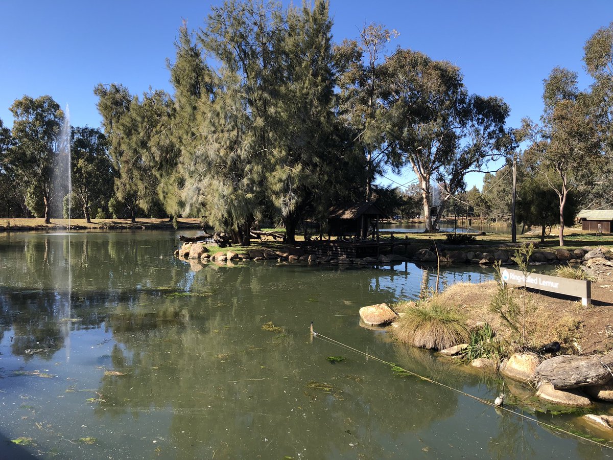 shawgchris's tweet photo. Very fitting that the Western Plains Principal Network are meeting at the Western Plains Zoo for 2 days of learning and reflection. Let’s hope they let us out. #greatplacetowork #westernplains https://t.co/3nFIV0FbwH