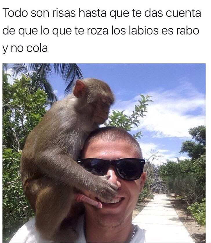 Memes (@queresmemes) on Twitter photo 