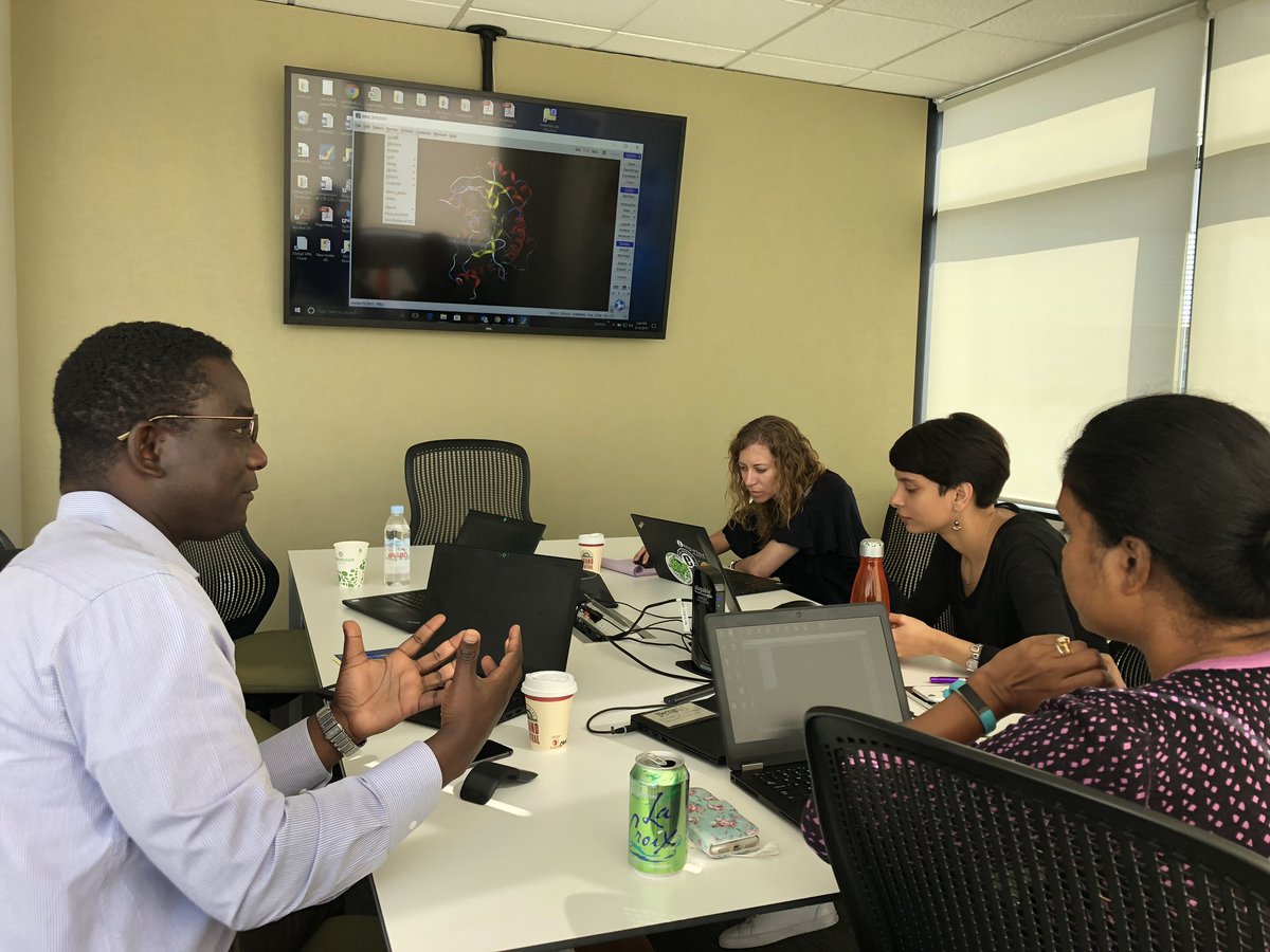 pinkblueskies's tweet photo. We got to play with proteins virtually today! Structural biology hands on  training by our very own teammate @KobinaNfanti at IDRI. #RTCFellows #IDRI https://t.co/ksB4kT3fp6