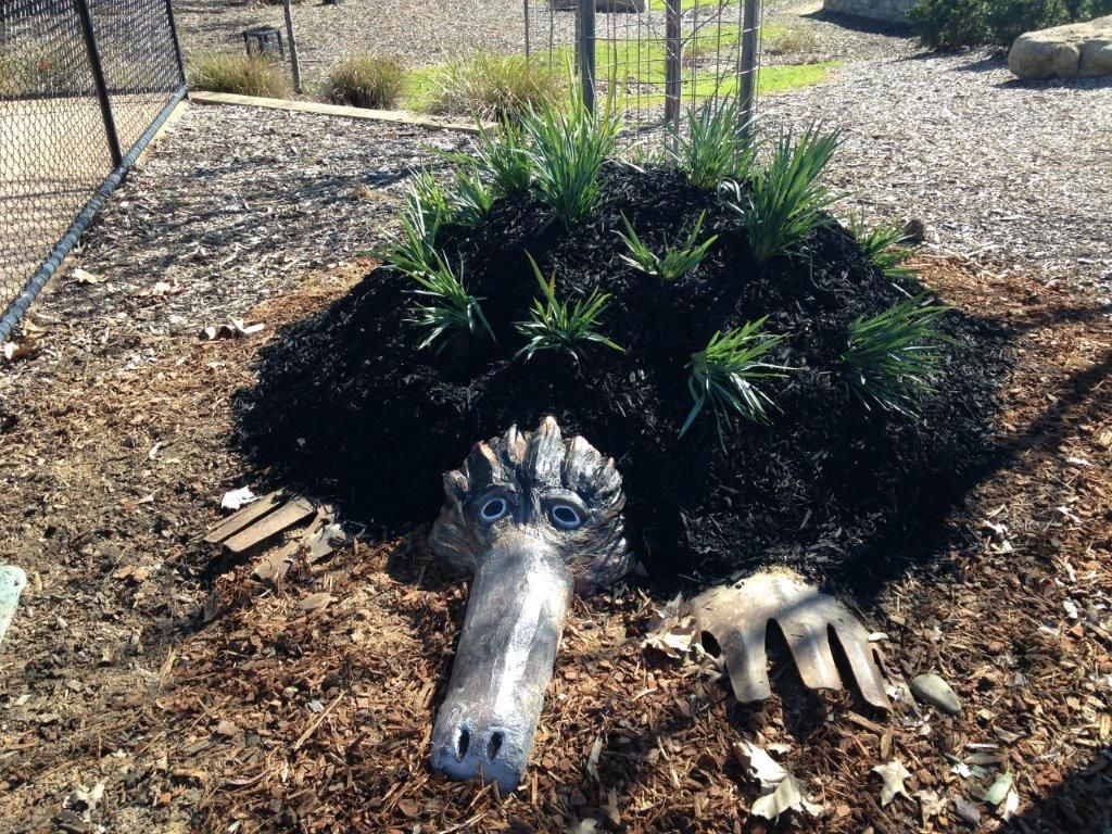 wodongacouncil's tweet photo. Have you met Spike? Be sure to say hello on your next visit to Belvoir Park – he is located next to the liberty swing. Read more here https://t.co/PA3ih6rbRX
#Platform3690  #WCNews https://t.co/3j7bVFKvCL