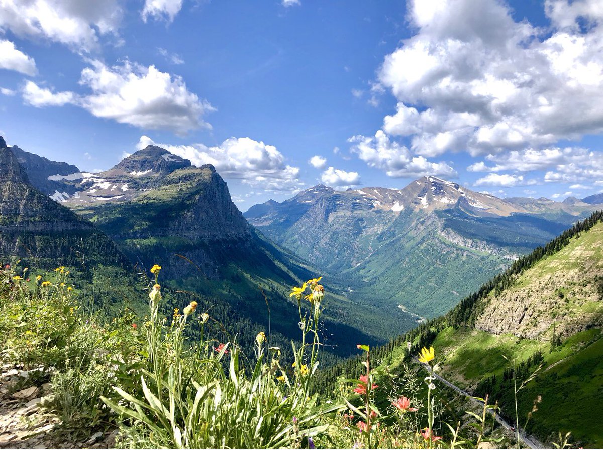 rylieeduster's tweet photo. appreciation post for our planet and all the beauty it holds. let’s take care of it 🌍🌿🌈🍁🌺🌞 https://t.co/25KxzxPOi4