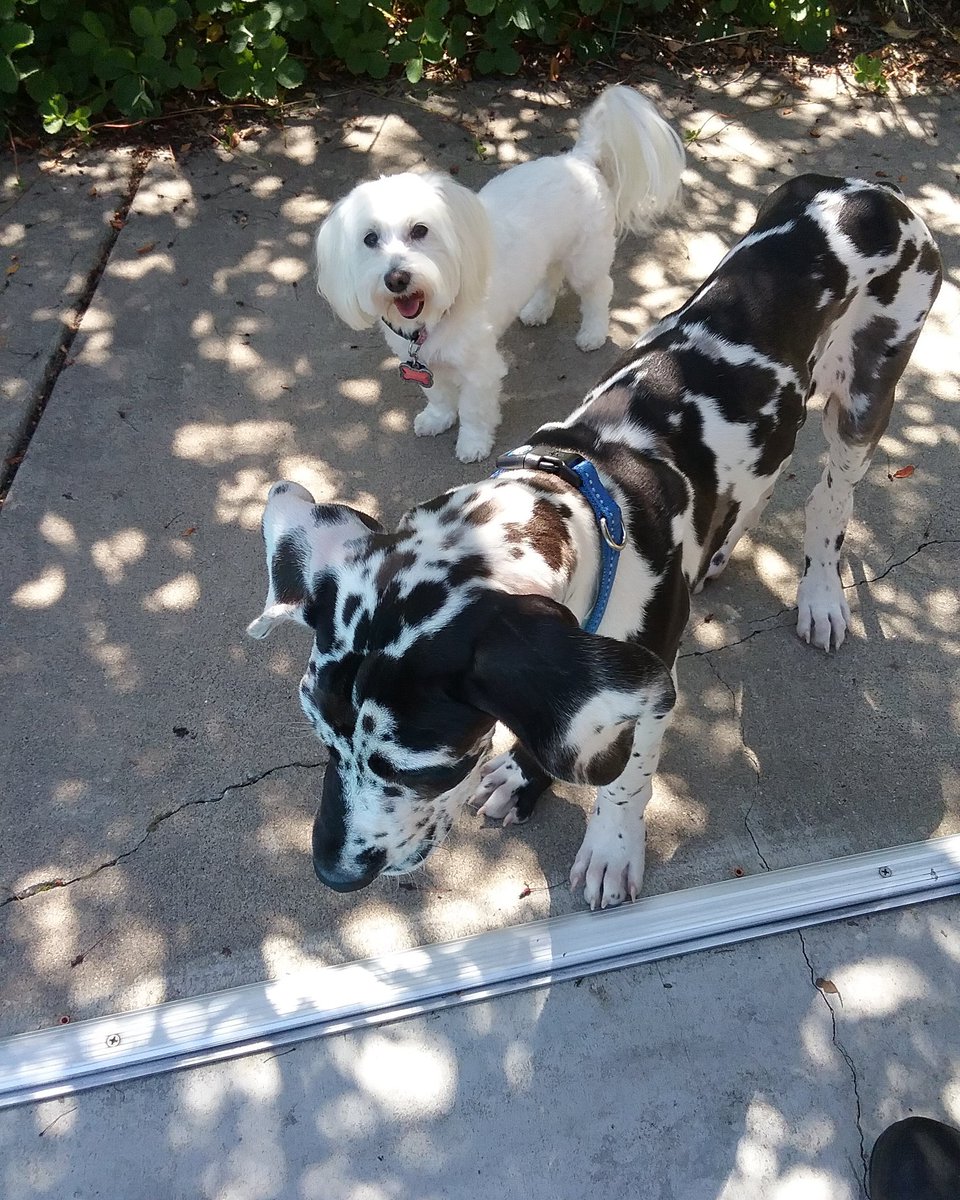 SimplyIdentical's tweet image. He's getting so big already!❤