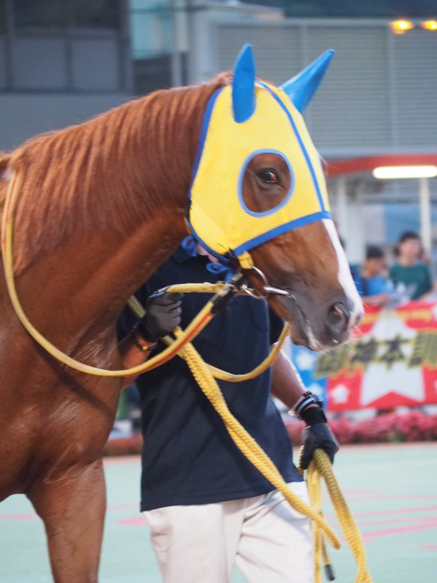 ユイマール Hashtag On Twitter