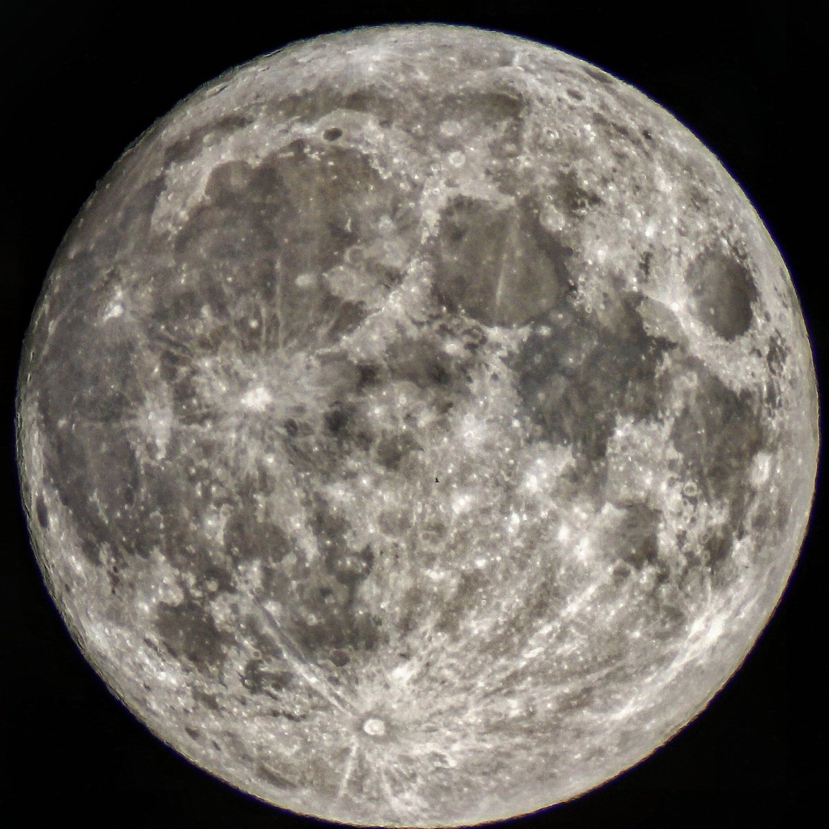 Visualisti si nasce tweet media