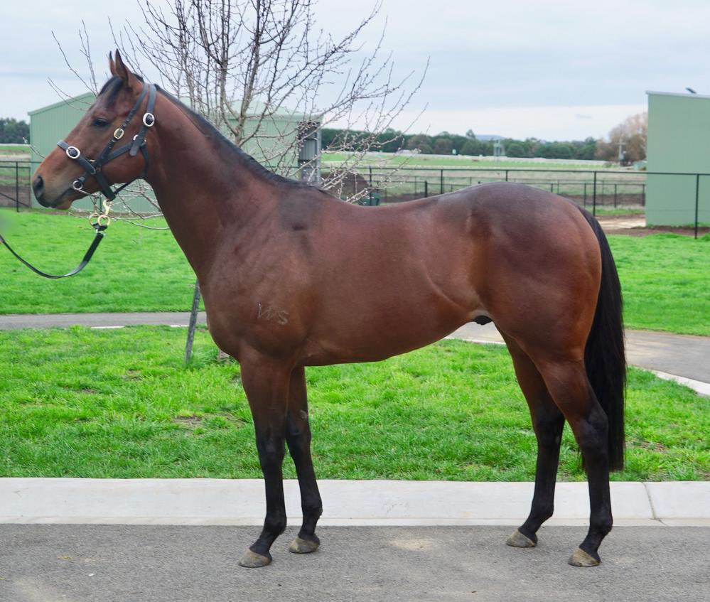 Yargi Racing tweet media