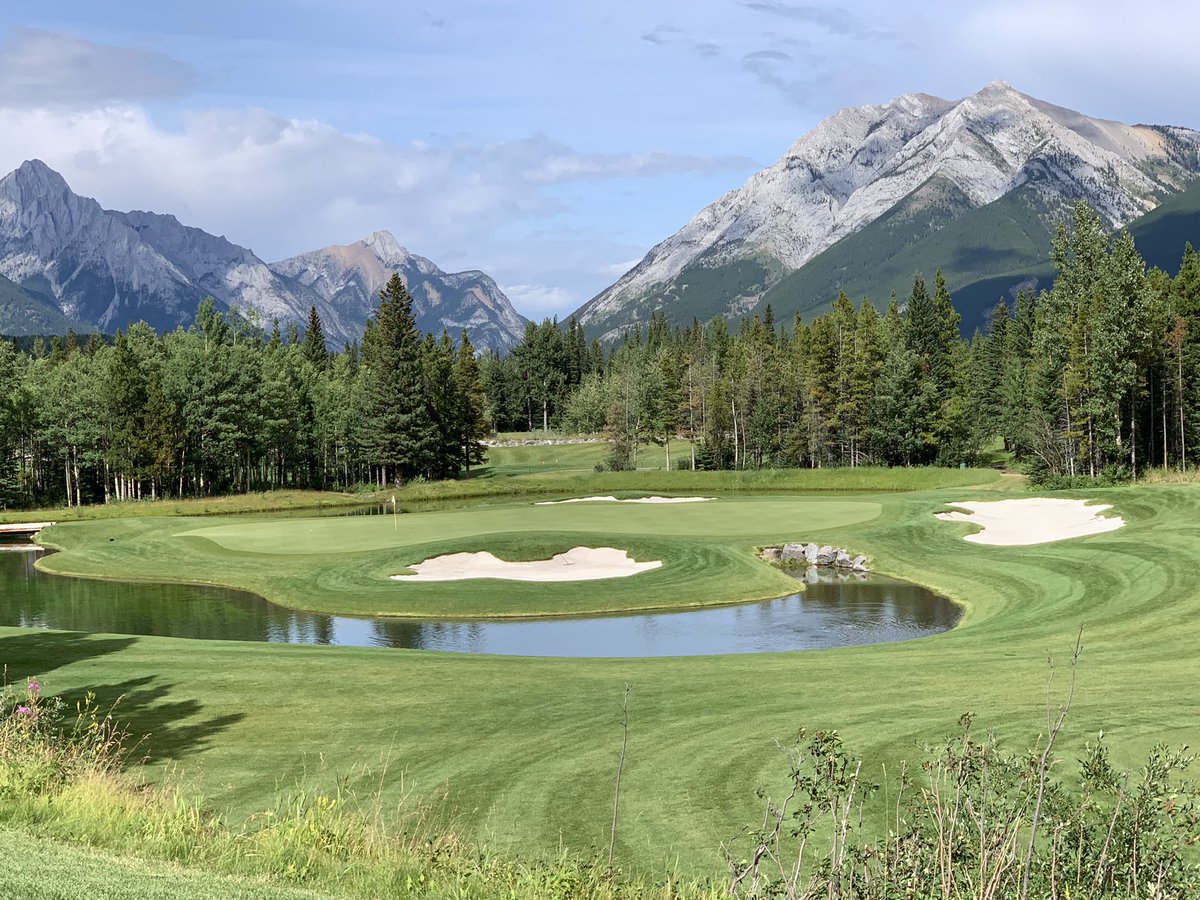 Midge Levson tweet media