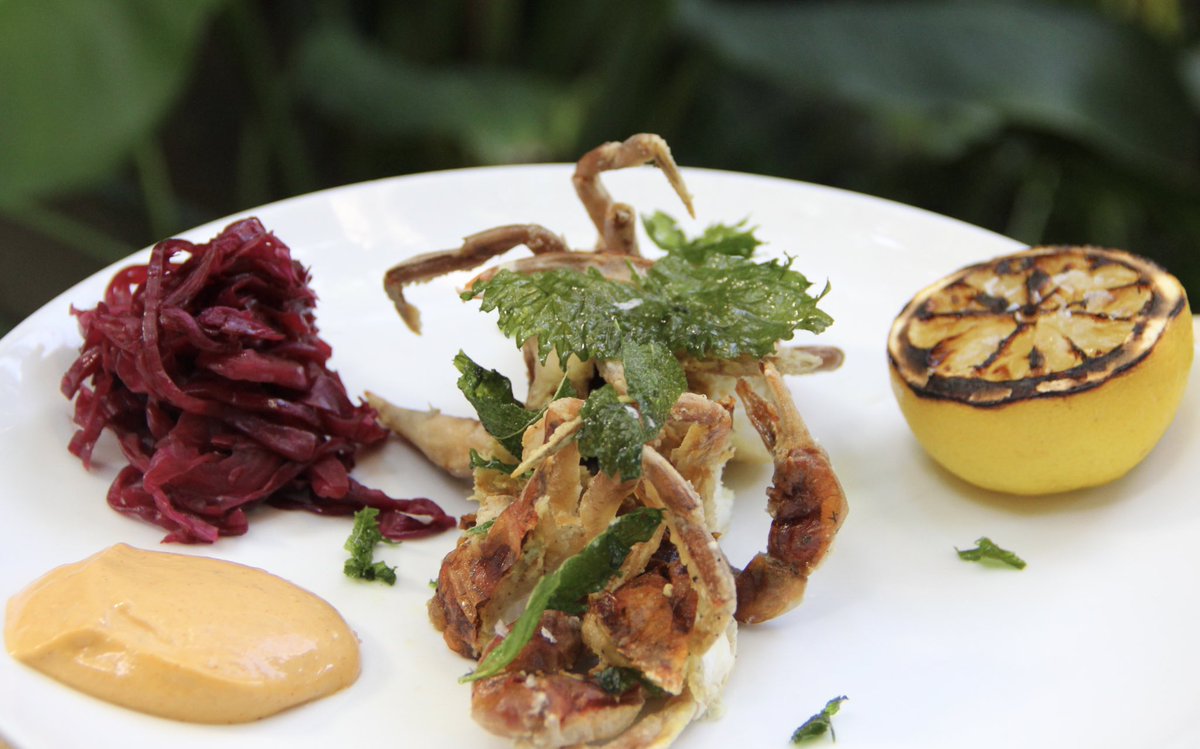 msantamonica's tweet photo. Our #softshellcrab special is on the menu tonight...treat yourself🤤 https://t.co/b3iJOPfp6P
