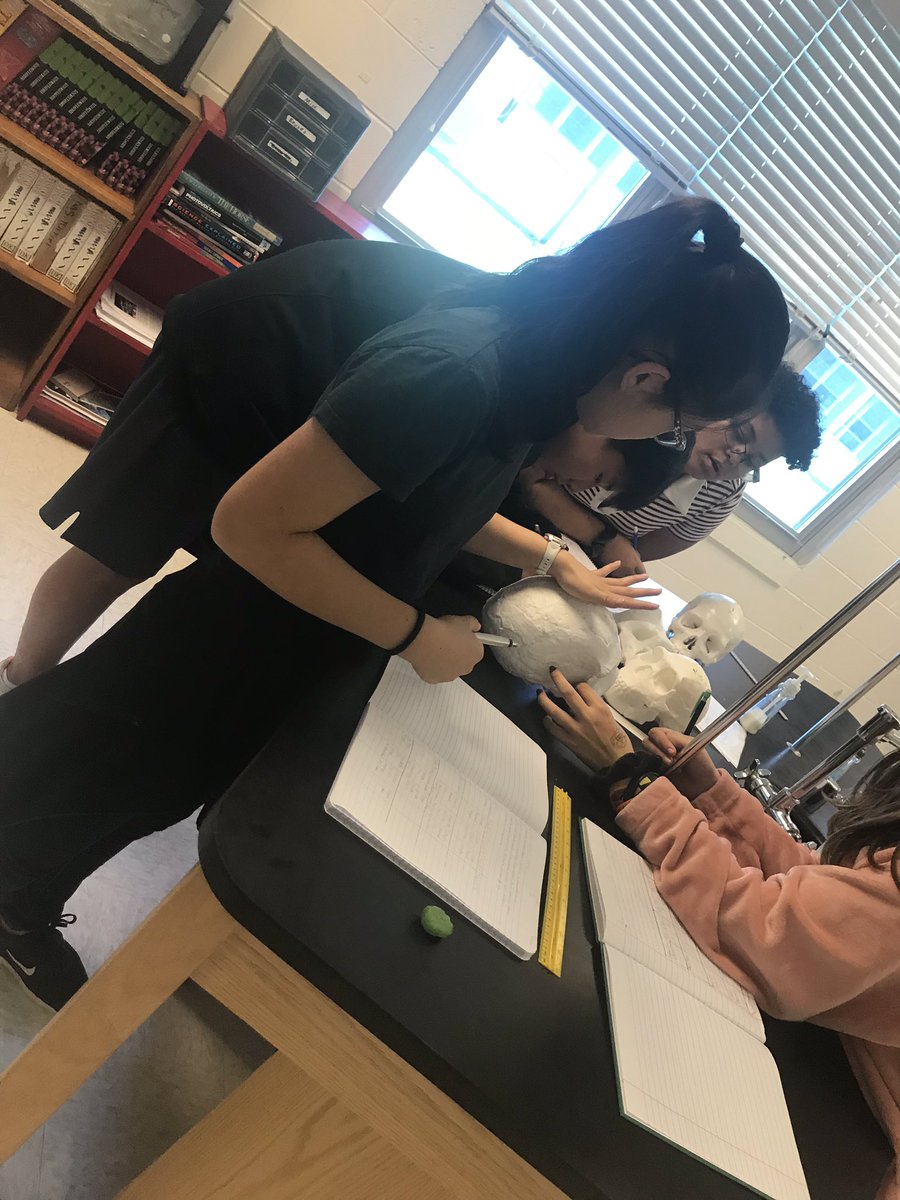 maureenshankman's tweet photo. When a summer workshop turns into one of the best science units you ever taught. I was nervous at first because I had never done this before. Hats off to Molly Selba for introducing me to my tribe. Here are some pics to show how it’s going. #HESTW https://t.co/vdngXF9dAC