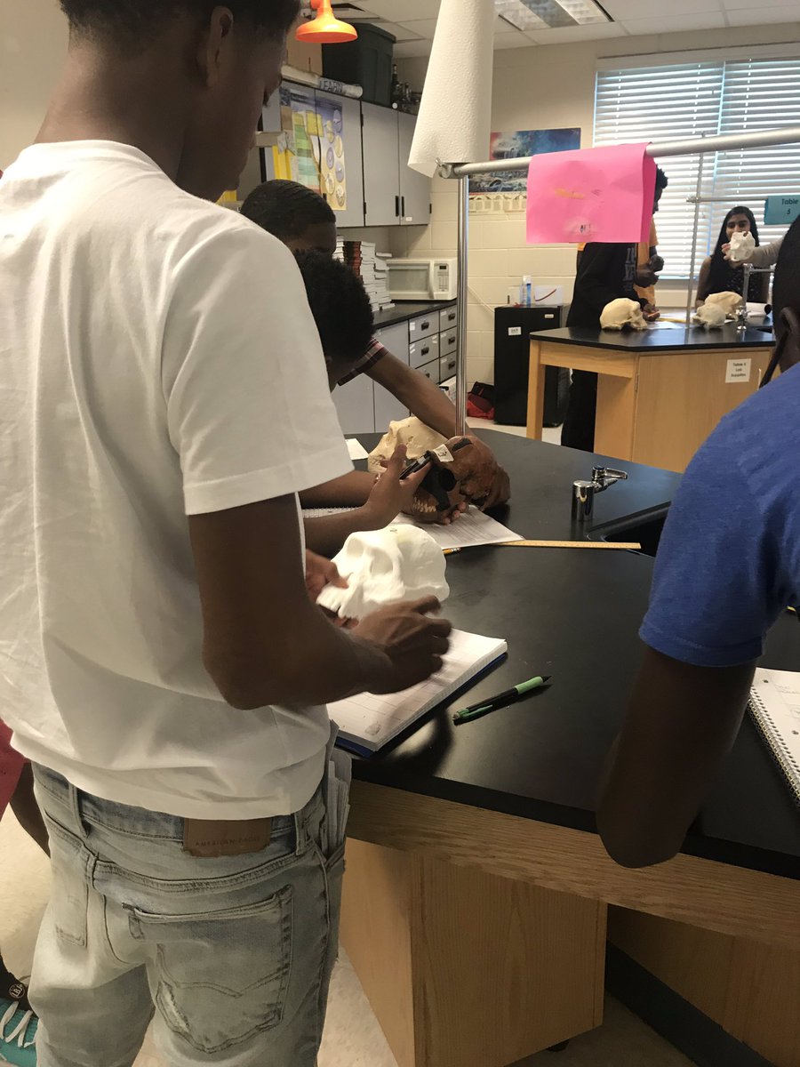 maureenshankman's tweet photo. When a summer workshop turns into one of the best science units you ever taught. I was nervous at first because I had never done this before. Hats off to Molly Selba for introducing me to my tribe. Here are some pics to show how it’s going. #HESTW https://t.co/vdngXF9dAC