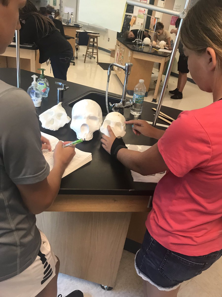 maureenshankman's tweet photo. When a summer workshop turns into one of the best science units you ever taught. I was nervous at first because I had never done this before. Hats off to Molly Selba for introducing me to my tribe. Here are some pics to show how it’s going. #HESTW https://t.co/vdngXF9dAC