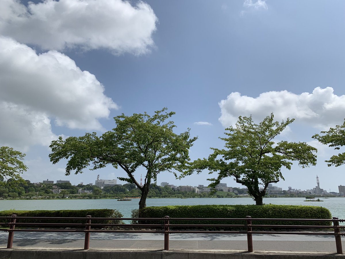 hidejii_sk8's tweet photo. 今日は茨城県は千波湖でインラインスケート!
3週かな?10kmぐらい。
暑いねー
風強いねー
#inlineskates #filaskates #houdinievo https://t.co/udpcZI5iR3