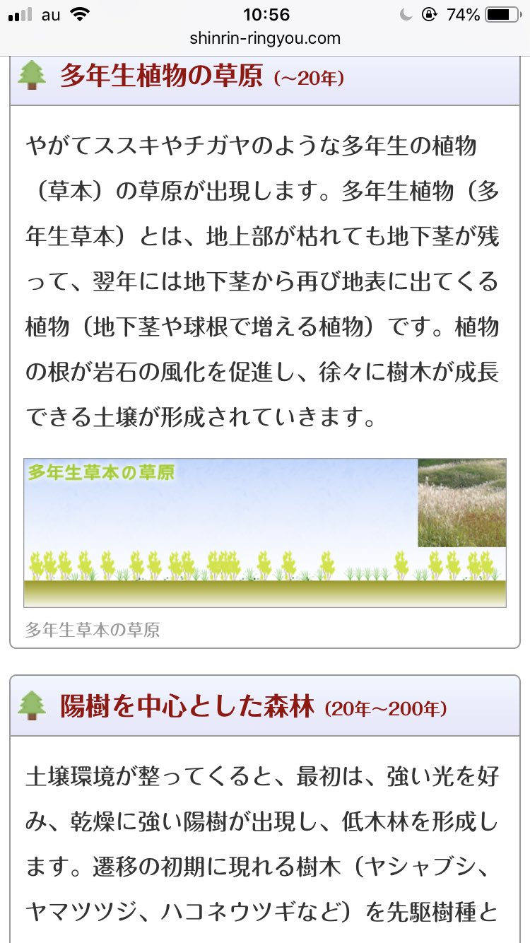 とが على تويتر これが 草超えて森 か