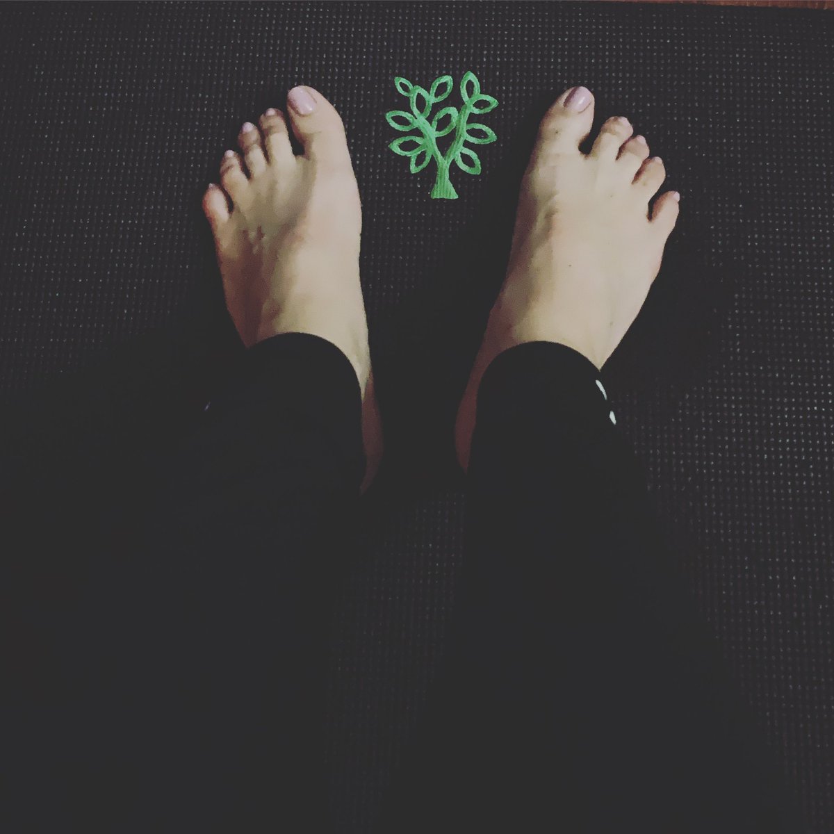Tracy_Espinola's tweet photo. Day 52 early morning run to start the day... sweaty core and balance yoga to put it to bed! Oh ya... and outdoor laser tag with these bugs! How many more days?  #60x60Challenge https://t.co/iTUkeGSowf