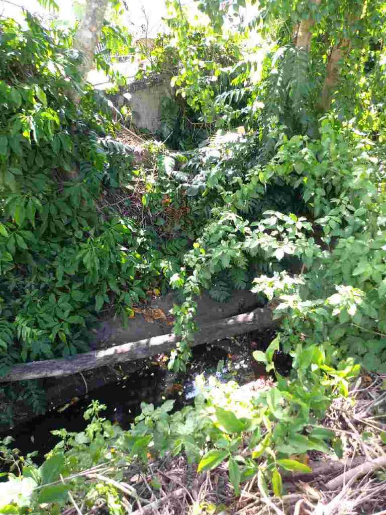eneidammoreno's tweet photo. @SJUCiudadPatria muchas gestiones - incluyendo querella de febrero 2018 # 180201006 - para limpieza de la quebrada entre Ave Escorial y Urb  Golden Gate. Necesitamos se limpie para reparar muro y detener la erosión! https://t.co/fOr5IYbhA2