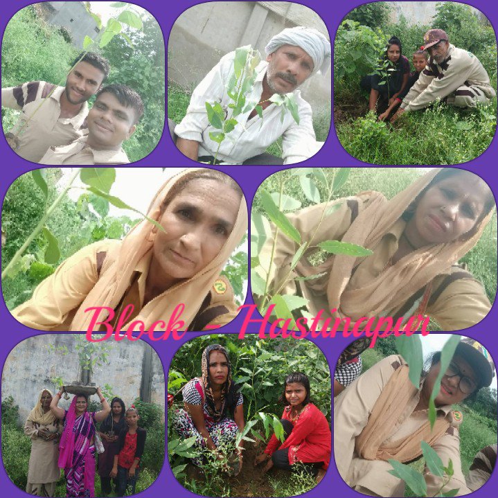 InshaAvneesh's tweet photo. #SelfieWithTree
#JoinHandsForTreePlantation
संत डॉ @Gurmeetramrahim सिंह जी इन्सां ने सभी को पेड़ लगाने की प्रेरणा दी ताकि वातावरण स्वच्छ हो । गुरुजी की शिक्षाओं पर चलते हुए डेरा सच्चा सौदा के अनुयायी गुरु जी के जन्म दिन को ट्री प्लांट करते हुए मनाते हैl https://t.co/rkVzNPjZvk