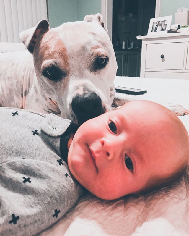 Theo and Kalie are super tight. 🐶👶🏻⠀
⠀
#abmlifeiscolorful #baby #babies #babiesofinstagram #blogger #explore #exploretocreate #friends #fun #goodtimes #goodvibes #instagood #sheisnotlost #travel #travelblogger #travelgram #twins #twinning #liveauthen… ift.tt/31xC23o