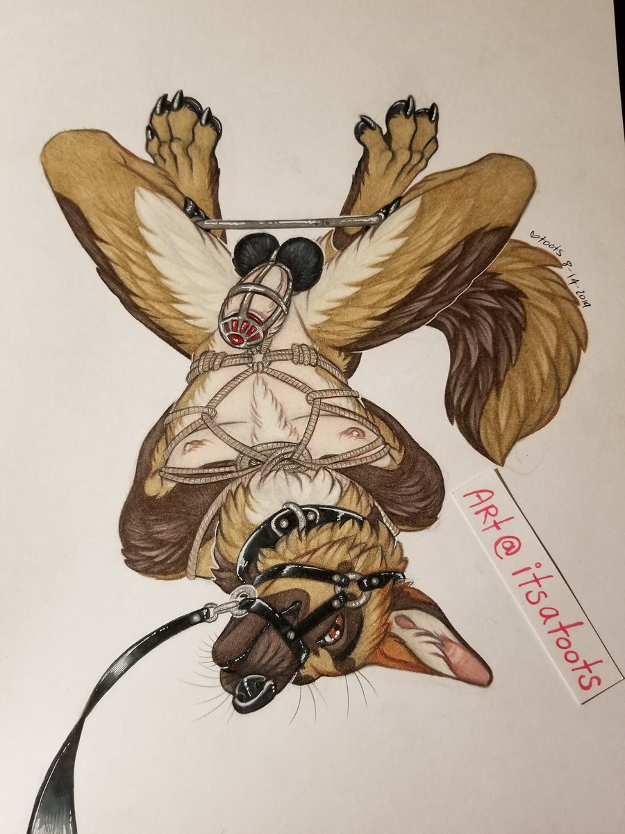 itsatoots's tweet photo. #nsfw #shibari #furry

Colorsketch for @North_Shepherd bound and ready for play!! 😍 https://t.co/uQDo2GUPnH