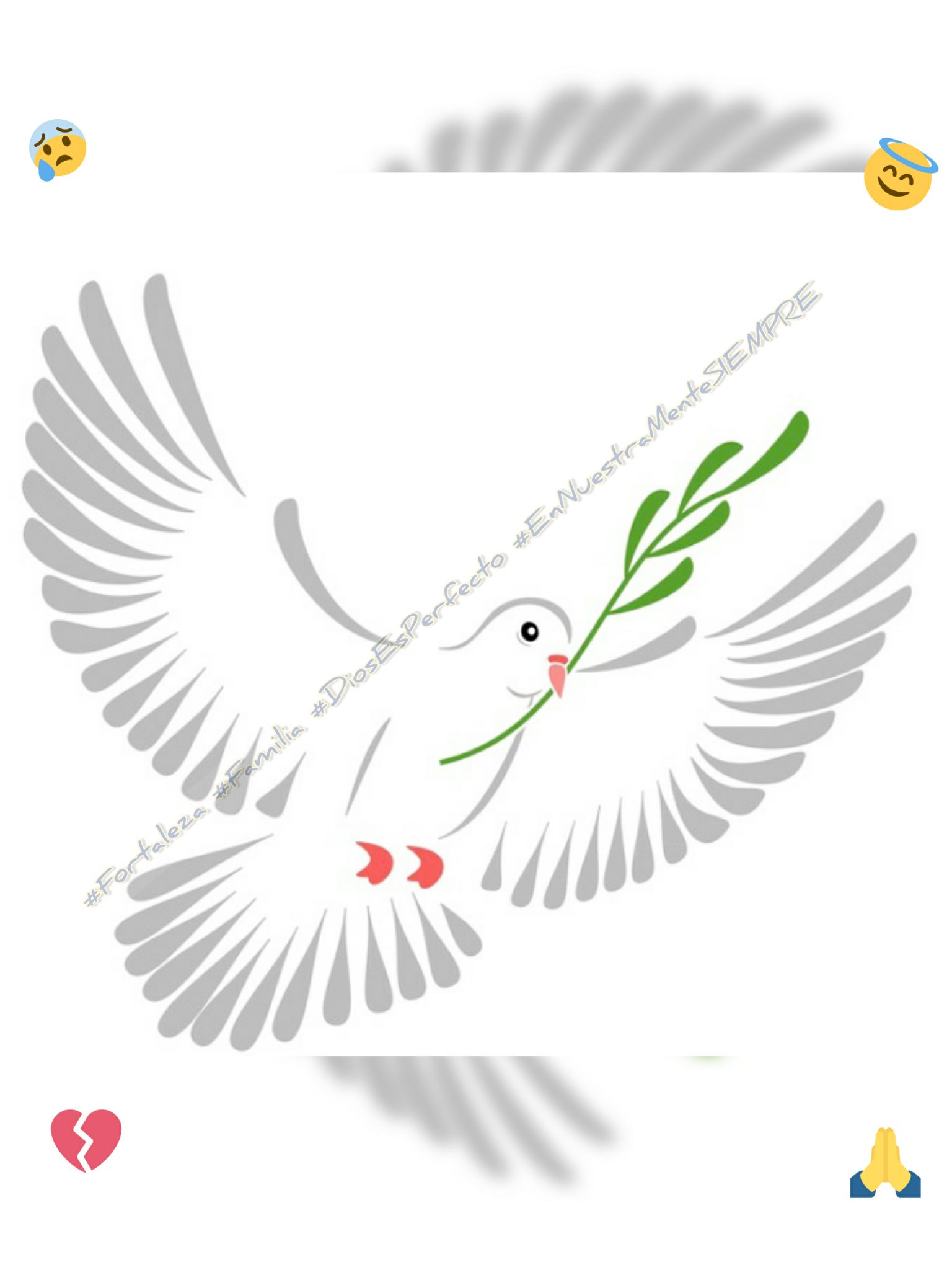 Голубь с цветком