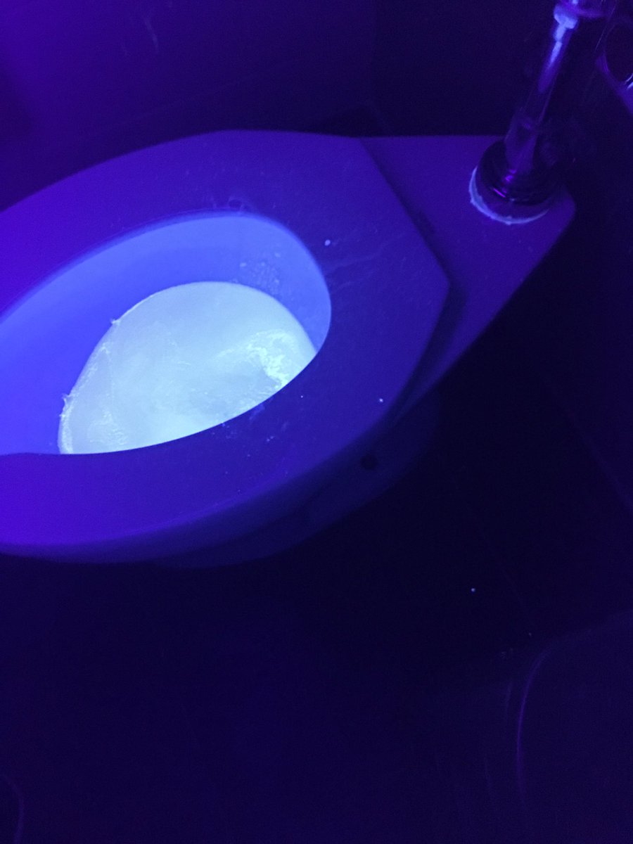 cgarrison5526's tweet photo. Yesterday we began our Handwashing Technique lessons to prep for #fallseedstarting with #psmsHorticulture. The kids were shocked and interested! So, today we surprised them with #toothbrushsafety 😂🤢😱    #studentinterest #alltheyuck #toiletplume @PSMSBulldogs #FutureReadyPCSS https://t.co/Ti9hI74nKP