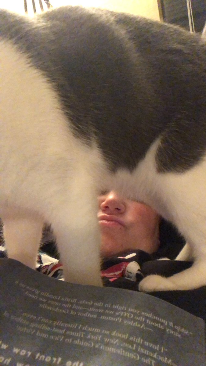 berryblue_fae's tweet image. Yeah, fuck what I was doing, right? 🤣🤣🤣 #CatLadyProblems