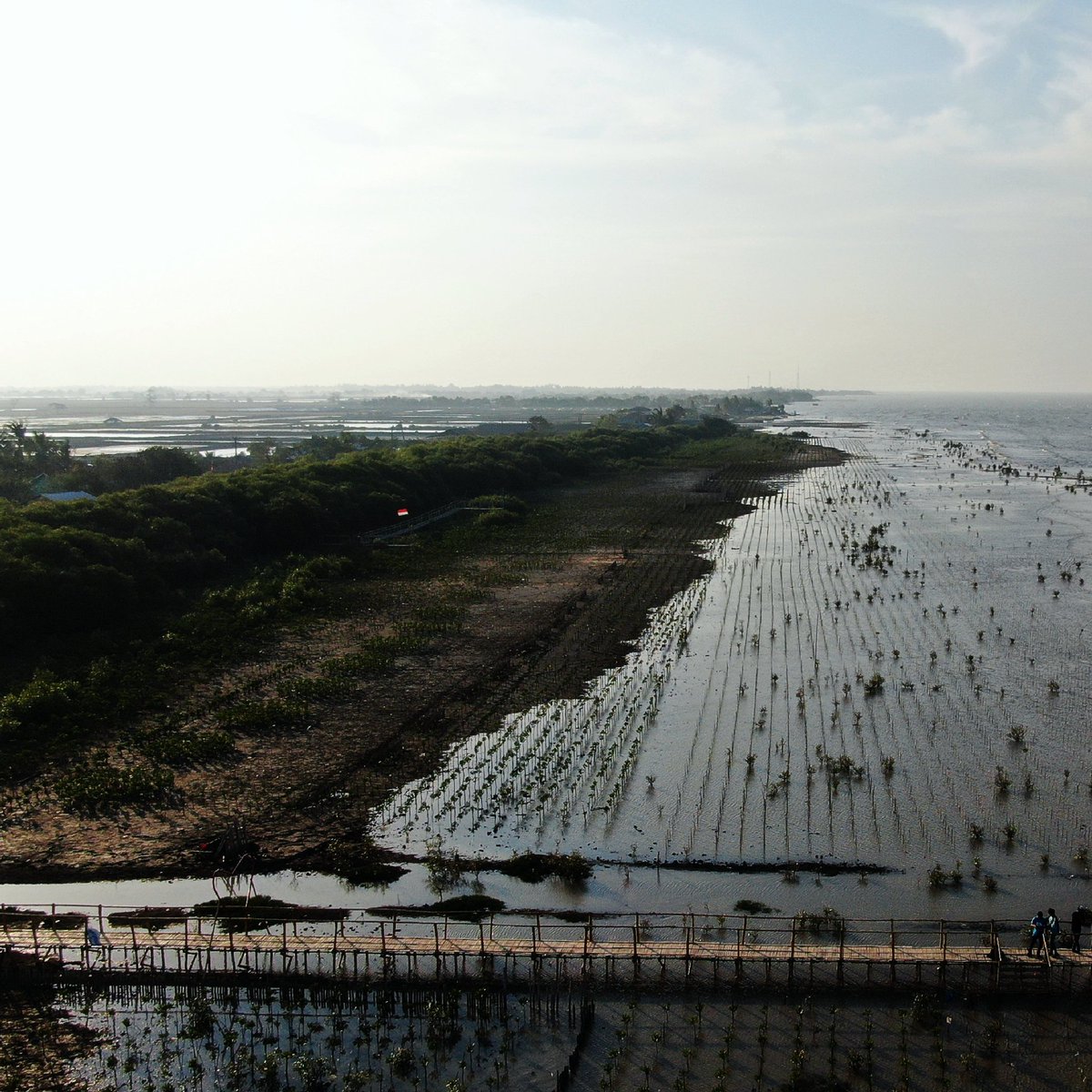 lhpbhmi's tweet photo. Telah nampak kerusakan di darat dan di laut disebabkan karena perbuatan tangan manusia, agar mereka merasakan sebahagian dari (akibat) perbuatan mereka, agar mereka kembali (ke jalan yang benar). (Ar Rum:41).

Foto : @jatamnas 

#auditpertamina https://t.co/X675BSIt71