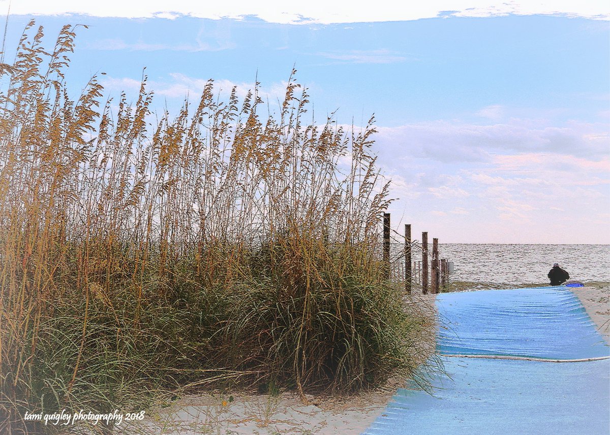 Soliloquy On A Southern Shore tami-quigley.pixels.com/featured/solil… #ArtisticThursday #art #ThePhotoHour #onlineshop #giftideas #FineArtPrints #ImageLicensing #CanvasPrints #MetalPrints #Decor #ocean #Lowcountry #SouthCarolina #HeartofTheLowcountry #HiltonHeadIsland #MyHappyPlace #LehighValley