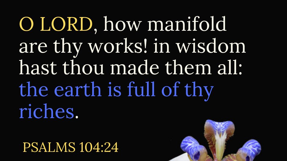 The earth is full of thy richest. -Psalms 104:24
#KJV
