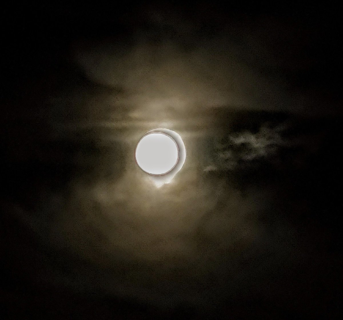 ange_kh9's tweet photo. "No cloud nor fog can change her path, the darkness won't dissuade her. Her aim is true her quest is high, she owns the night and loves to fly." A. Joanesse
#CarsonLake #MadawaskaHighlands #ComeWander #MoonMagic @StormHour @OnHighlands https://t.co/FyPmSIR5Po