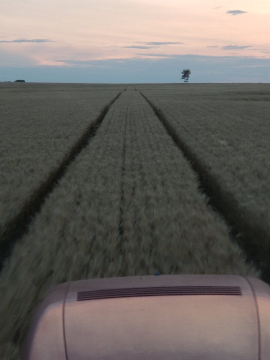 Sticky243's tweet photo. Due to circumstances unforeseen I am looking for temporary farm labor. 4 to 6 weeks would be great. Could work with almost anything right now. Retweets appreciated. North East ND. Thanks https://t.co/pVOJsZ1mpI