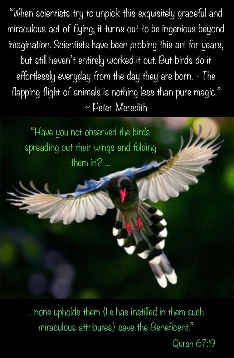 Bosher_Syed's tweet photo. https://t.co/EXs34Exrvg