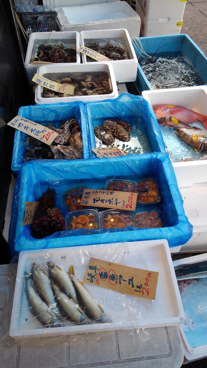 小田原魚國 8月13日 鮮魚部の様子です 特売は 伊勢海老 オススメは メイチダイ神経抜き イチオシは 愛じめワカシ お盆の土産に 干物のクール便発送も好評です 14 17日は営業 15 16日は休業です 宜しくお願い致します 小田原魚國 8月13日 鮮魚部の様子です 特売は 伊勢海老 オススメは メイチダイ神経抜き イチオシは 愛じめワカシ お盆の土産に 干物のクール便発送も好評です 14 17日は営業 15 16日は休業です 宜しくお願い致します