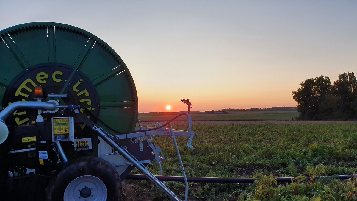 Thierry_Agri's tweet photo. Mon chéri, pourquoi tu te lève si tôt ?
C'est pour arroser les pommes de terre !
Pourquoi tu les arrose encore ?
Pour qu'elles soient les meilleures possible ! Et assé grosse pour faire des frittes🥔
Bon Vas-y alors 😕 https://t.co/EcNfoTHCi3