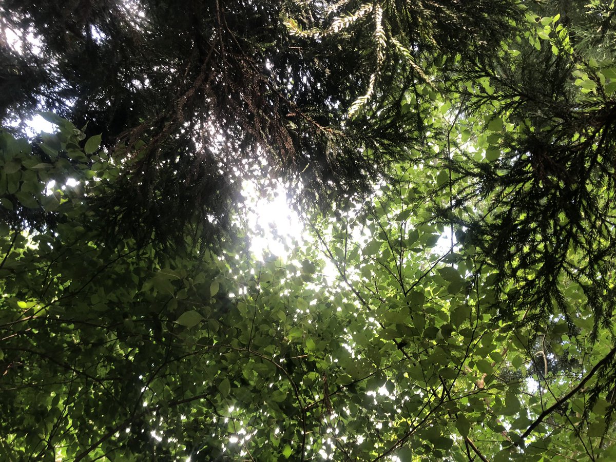 umeneri___'s tweet photo. #日本の夏 #emotional https://t.co/MbqHNcGH2v