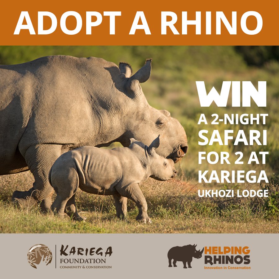 KariegaGameRes's tweet photo. ADOPT RHINO THANDI &amp; FAMILY. An initiative with @HelpingRhinos. Funds raised will make a huge difference to our rhino protection &amp; conservation efforts. The first 50 adopters are entered into the draw &amp; could win a 2 night safari at Ukhozi Lodge! Donate https://t.co/zfYLWPgHvA https://t.co/McgPGFu0ra