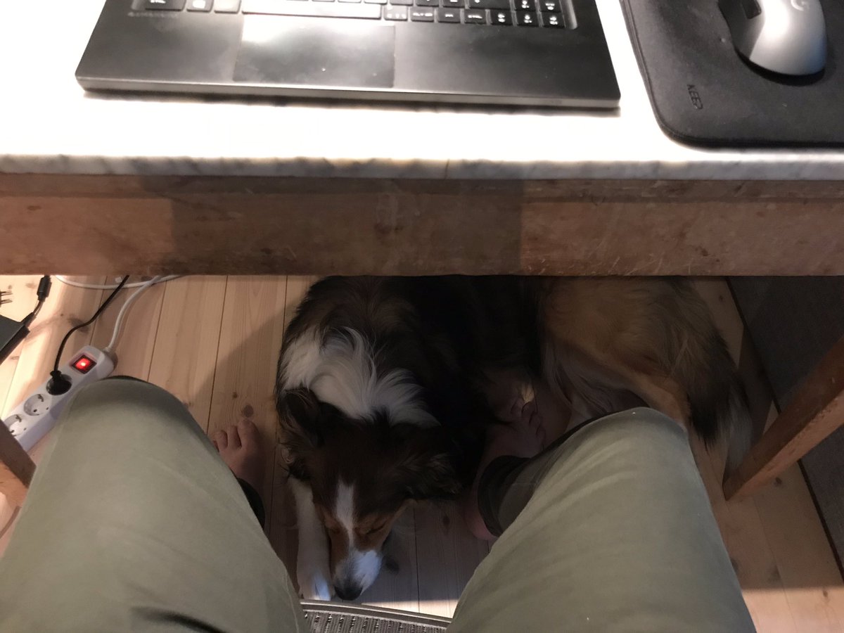 ArveOverland's tweet photo. Brainstorming with Ziggy 😀 #homeoffice #horizon2020 #proposalwriting https://t.co/kuTG02cOwL
