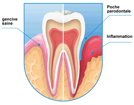 oral hygiene and orthodontics #dentist #dental dentist in ballarat, delacombe family dental 
storeboard.com/blogs/health/o…