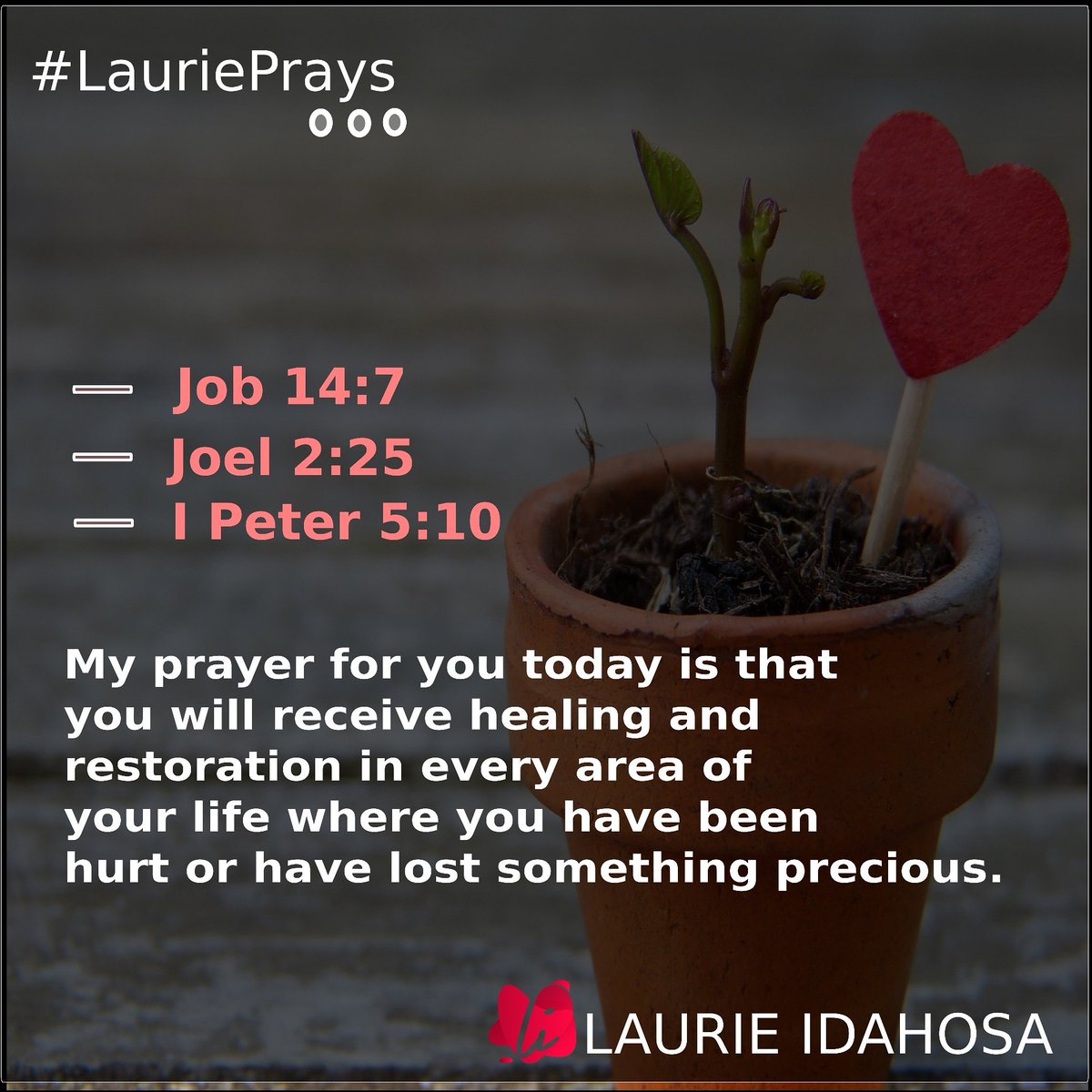 IdahosaLaurie's tweet image. #LauriePrays
