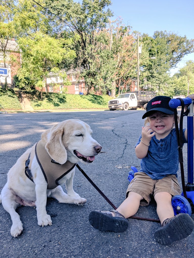 Anne Cutler tweet media