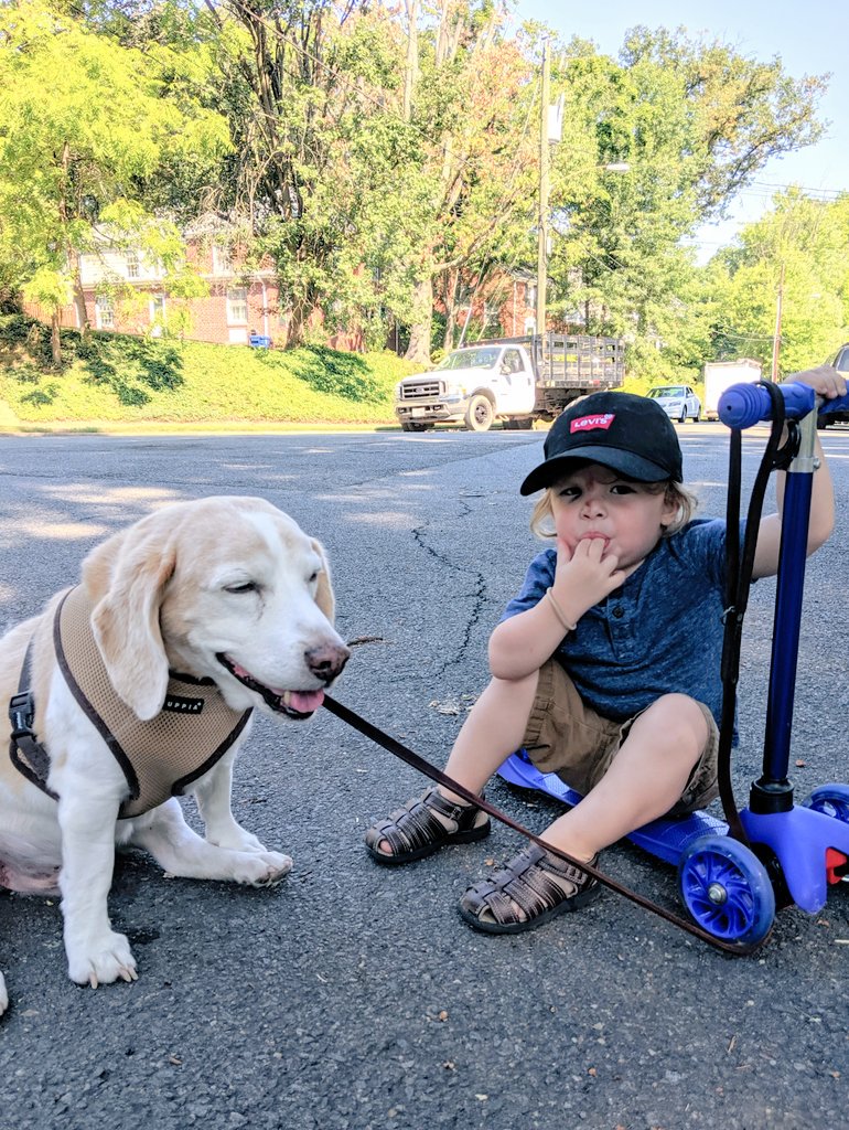 Anne Cutler tweet media