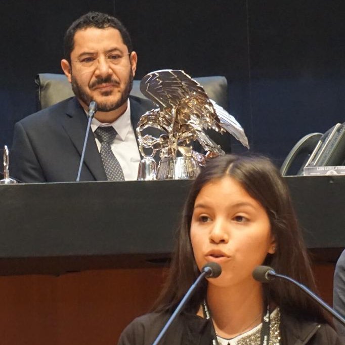 RedPazMXSinaloa's tweet photo. "Nuestra participación en aspectos políticos es una  esperanza para rescatar lo perdido y salvaguardar lo que esta en riesgo" 
#DiaInternacionalDeLaJuventud https://t.co/tycLc2T6oz