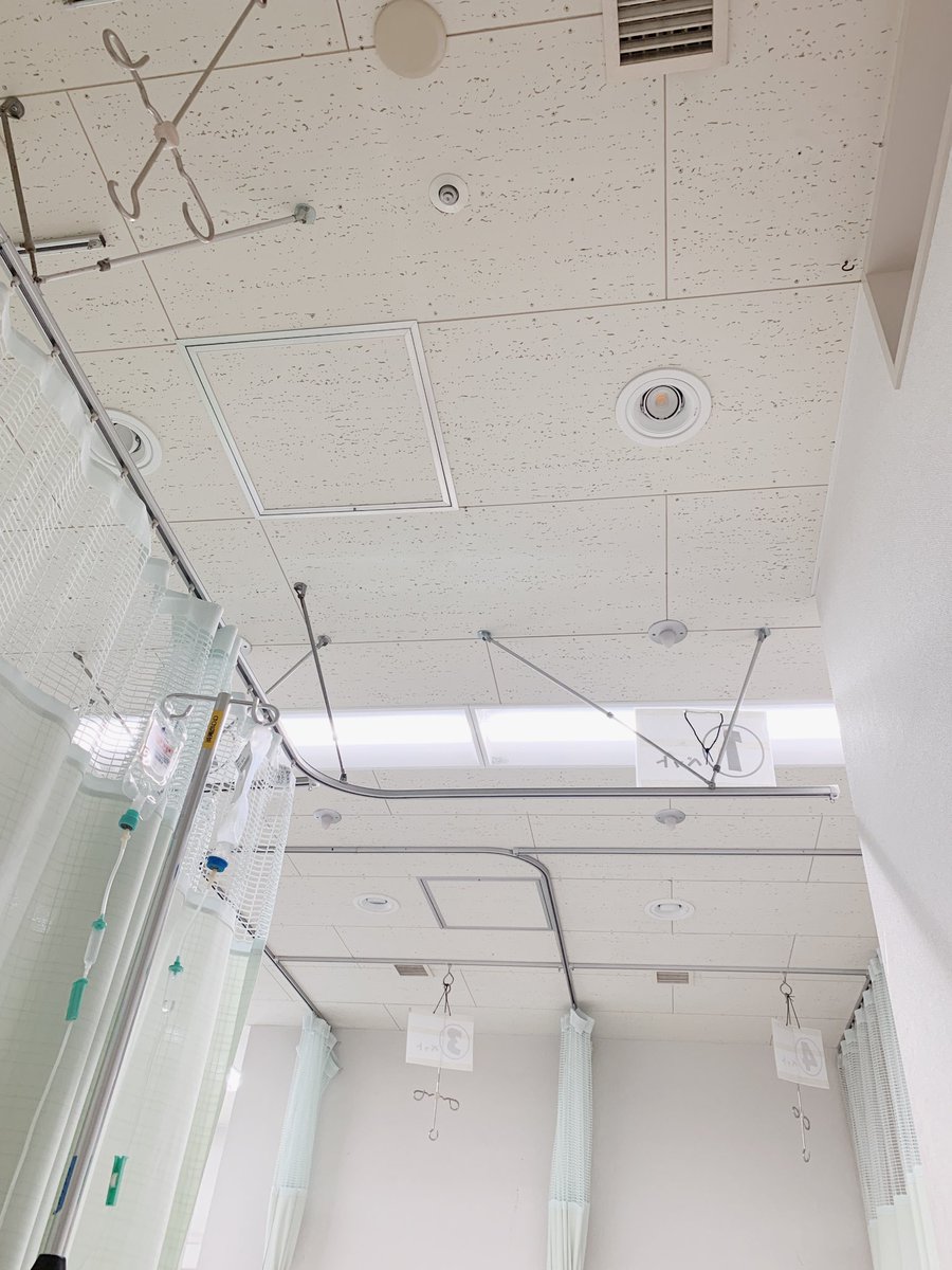 つばき على تويتر 知らない天井