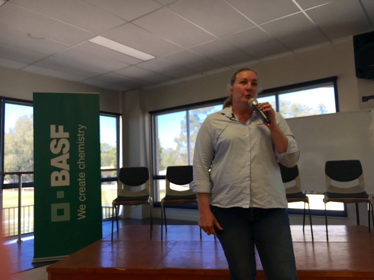 WeedSmartAU's tweet photo. New imi tolerant sorghum - @BASF_Agro_Au Sarah Wilson explains managing the risk with plant backs and the best time to plant safely. #WeedSmart https://t.co/RLTwD1hnLB