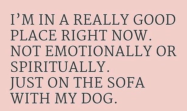 angieland10's tweet photo. #girlsbestfriend 😊🐶 https://t.co/6E7eQQjgSV