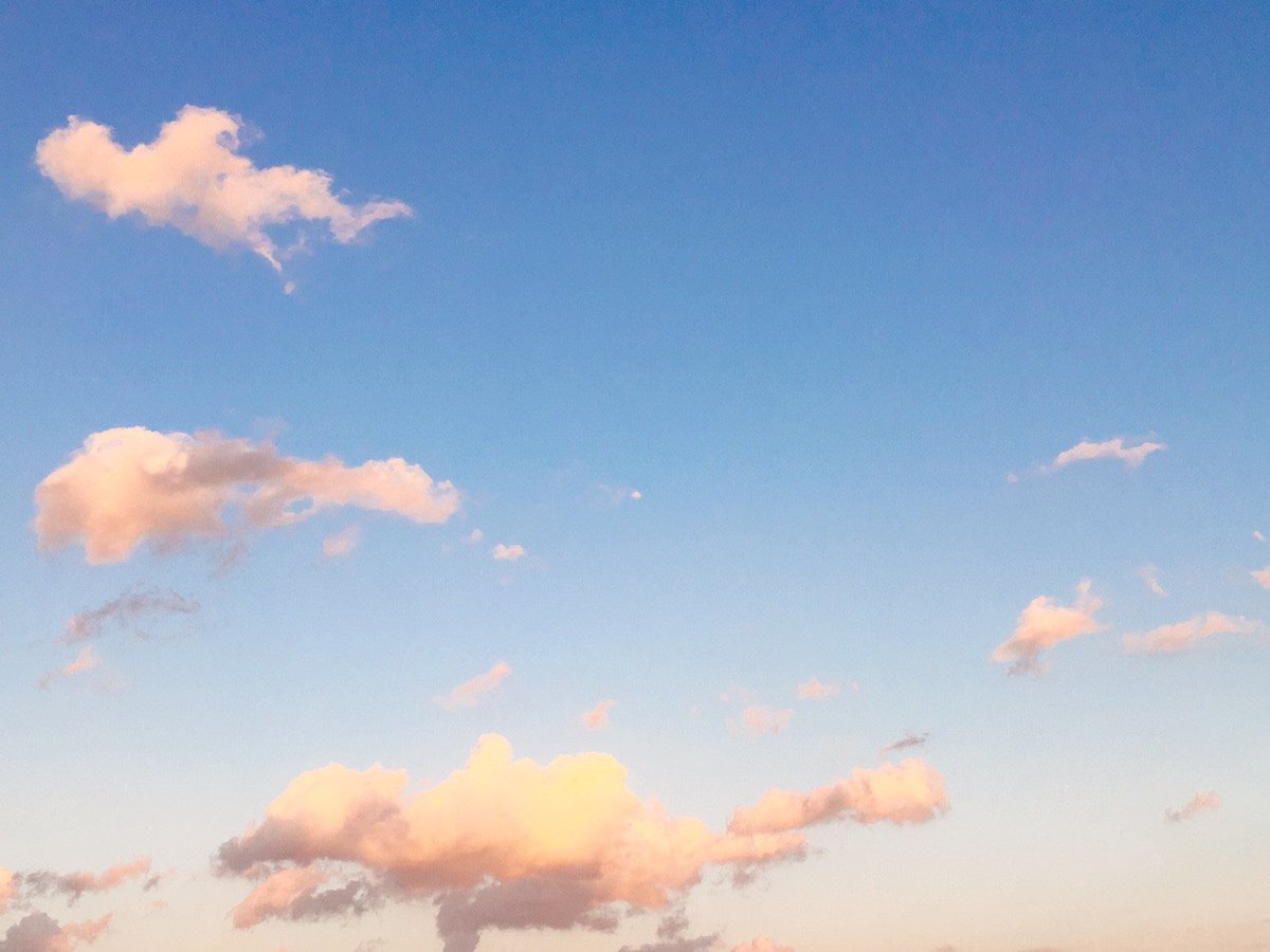 Bluegluebot's tweet photo. さようなら いつかは素直になれるかな
優しくいられるように祈っているのにさ
青空、どうしてさ どこかで会えるかな
見つ��て 見つめて 溶かして

ごめんね ごめんね 今まで
青空、どうして/Blueglue https://t.co/qXxB0yJNGE