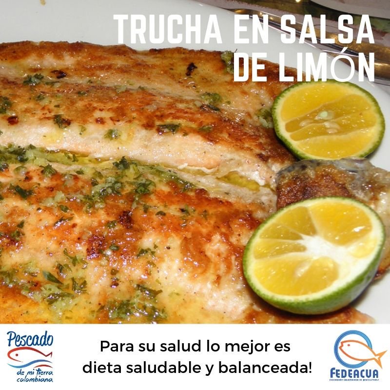 fedeacuacol's tweet photo. Digale si al Pescado de mi tierra Colombiana.. #Fedeacua #Comasaludable #Trucha https://t.co/UuE44PVvjy