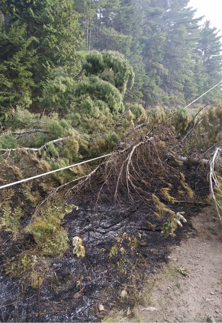 UPDATE: Crews are working to make the area safe before removing the tree from the line. Repairs could take several hours as the tree caused significant damage. Thank you for your continued patience while we work to restore power.