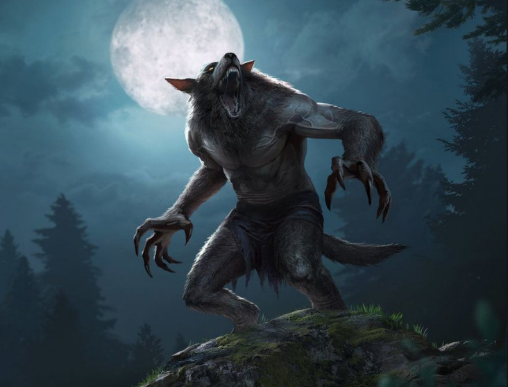 didyouknowTES's tweet photo. The Companions were a group of warriors who took contacts throughout Skyrim and carried on the tradition of the 500 Companions of Ysgramor.

During the 2nd era, the Companions made a pact with the Glenmoril witches, resulting in them being tricked into becoming werewolves. https://t.co/ooW5mmd1kk
