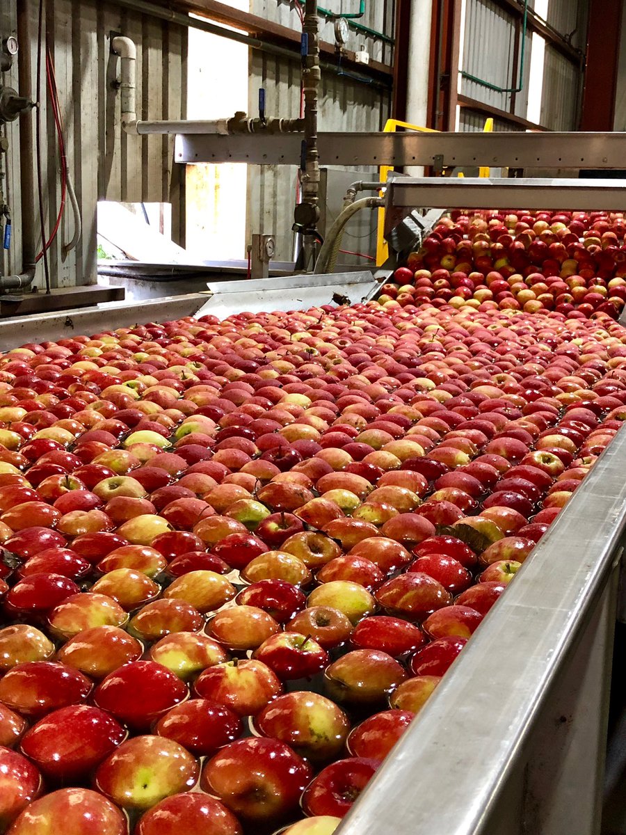 Birmo's tweet photo. Australian 🍎 exporters currently face a 9 % tariff into the 🇪🇺. Under the 🇦🇺- 🇪🇺 FTA we want to get the best possible market access for family businesses like @montagueaus so they can ⬆️ exports & create more jobs. #AusEUFTA https://t.co/CcuHvImhIl